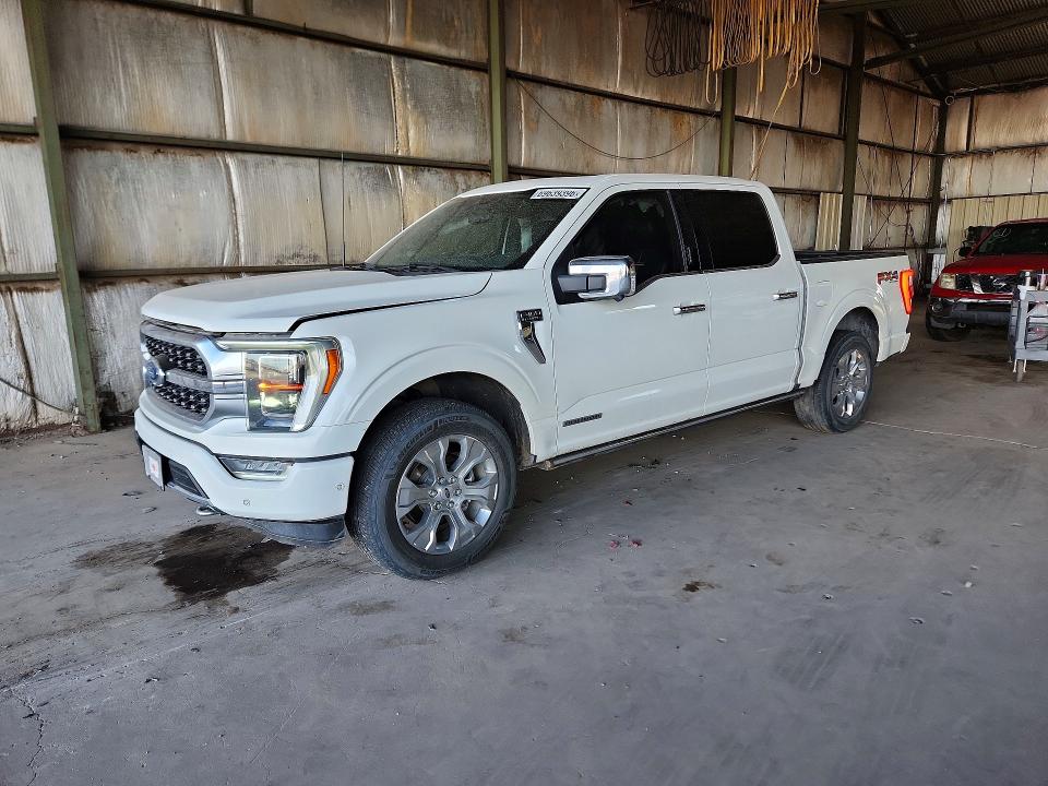 Продаж на аукціоні авто 2022 Ford F150, vin: 1FTFW1ED6NFB75819, номер лоту: 69639396