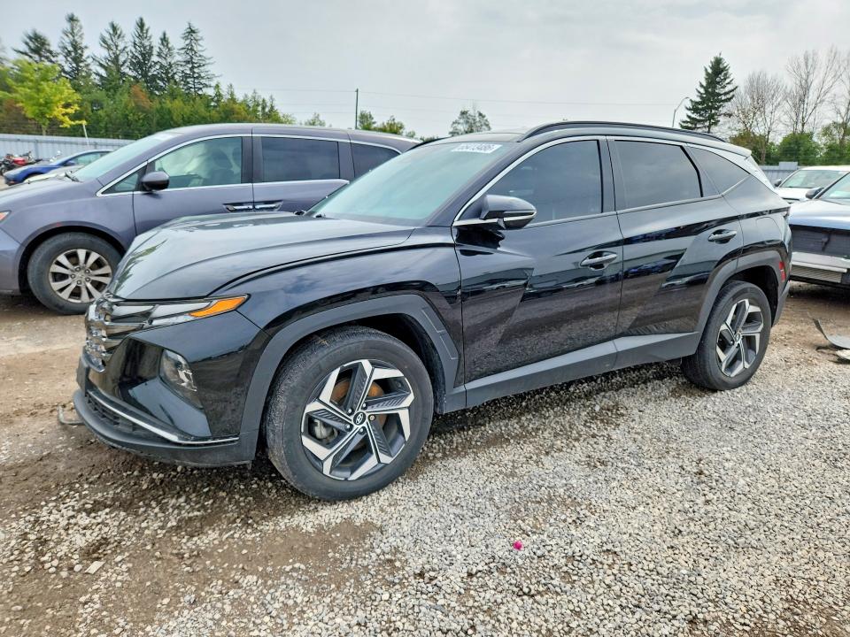 Продаж на аукціоні авто 2022 Hyundai Tucson, vin: KM8JCCA11NU054505, номер лоту: 65413486