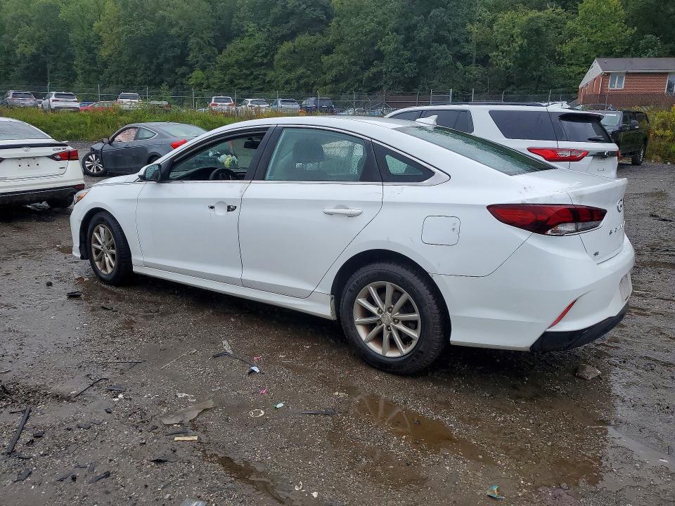 Продаж на аукціоні авто 2018 Hyundai Sonata, vin: 5NPE24AF7JH684964, номер лоту: 70189786