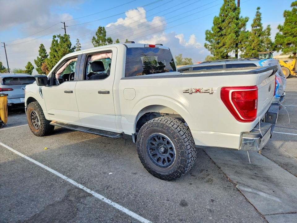 2023 Ford F150 მანქანა იყიდება აუქციონზე, vin: 1FTFW1ED3PFB78535, აუქციონის ნომერი: 69071756