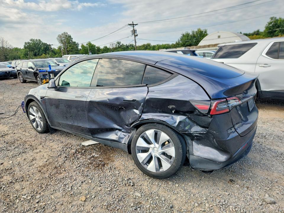 Aukcja sprzedaży 2024 Tesla Model Y, vin: 7SAYGDEE0RA261119, numer aukcji: 69432786