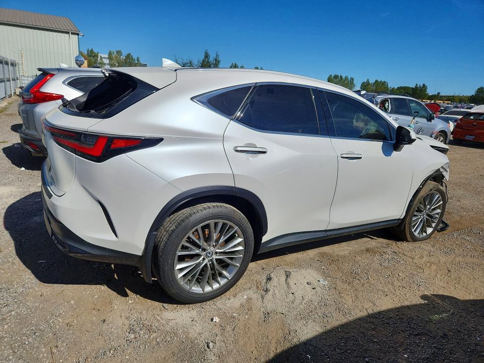 Продажа на аукционе авто 2022 Lexus Nx, vin: 2T2GKCEZ8NC005358, номер лота: 68027056