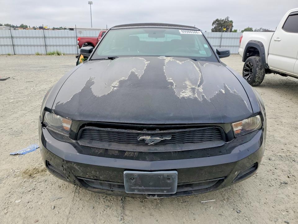 2010 Ford Mustang მანქანა იყიდება აუქციონზე, vin: 1ZVBP8EN9A5122543, აუქციონის ნომერი: 69986566