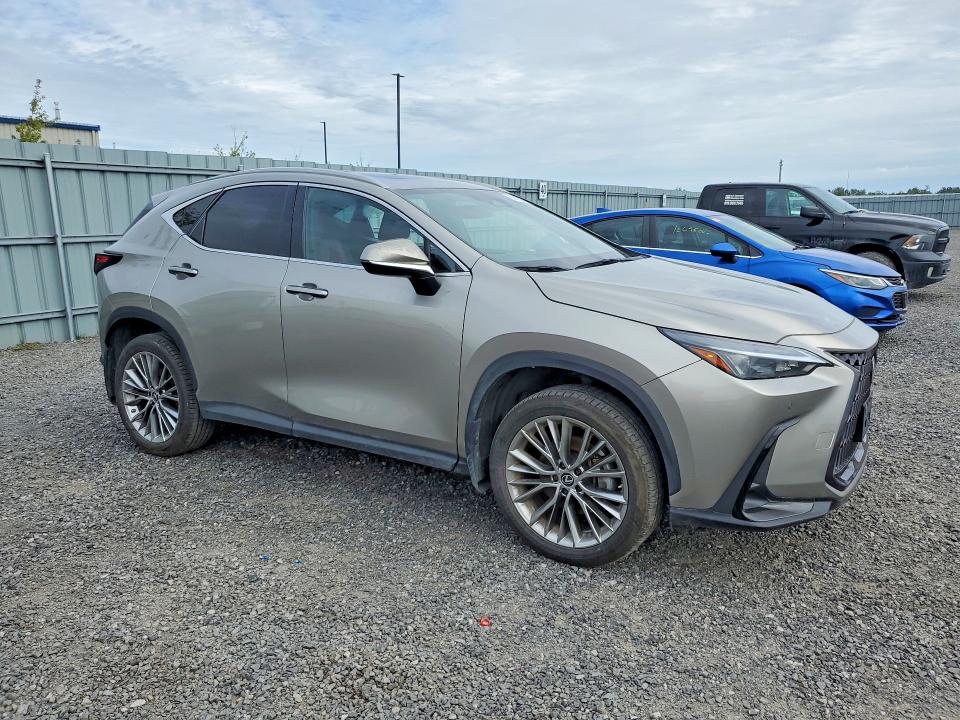 2022 Lexus Nx მანქანა იყიდება აუქციონზე, vin: 2T2GGCEZ7NC003294, აუქციონის ნომერი: 69427046