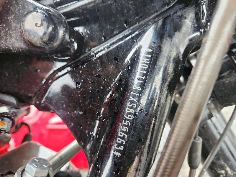 64823686 :رقم المزاد ، 1HD1TL81XSB955663 vin ، 2025 Harley-davidson Fltrxstse مزاد بيع