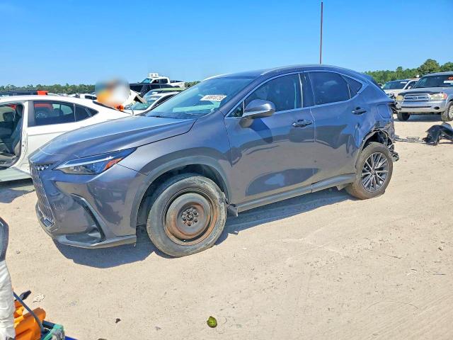 Aukcja sprzedaży 2024 Lexus Nx, vin: 2T2GDCAZ0RC006283, numer aukcji: 69910756