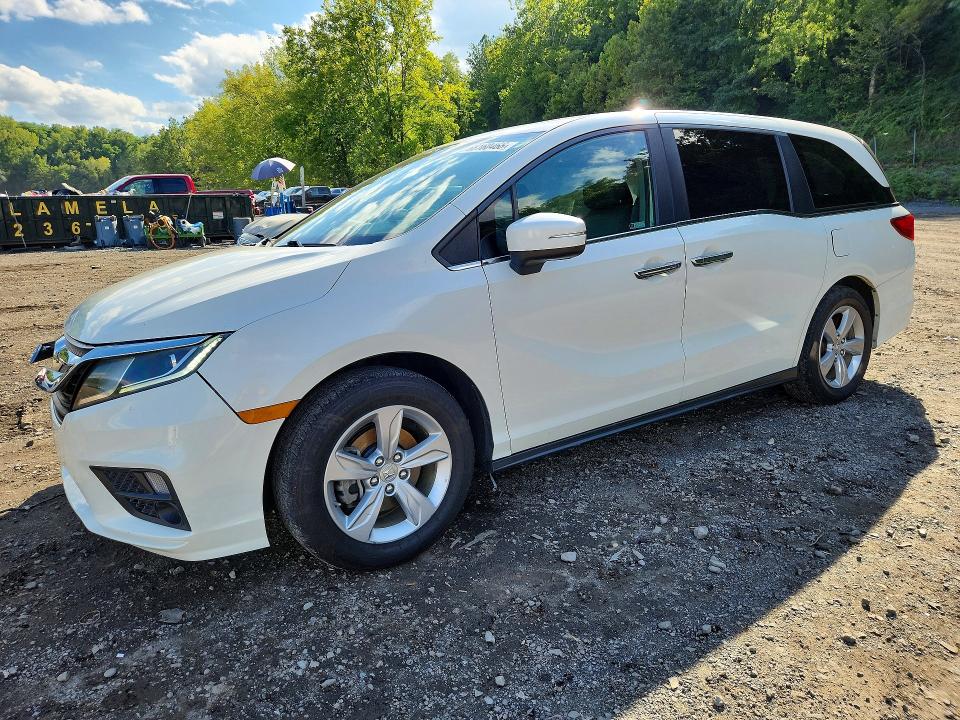Продажа на аукционе авто 2019 Honda Odyssey, vin: 5FNRL6H71KB021687, номер лота: 68160466