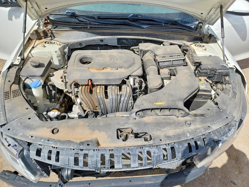 Продаж на аукціоні авто 2016 Kia Optima, vin: KNAGT4L32G5072993, номер лоту: 64704396