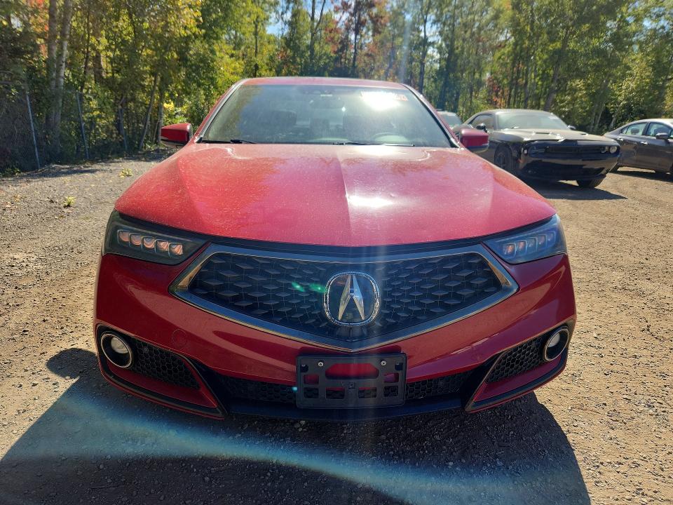 2019 Acura Tlx მანქანა იყიდება აუქციონზე, vin: 19UUB1F60KA800115, აუქციონის ნომერი: 69787596