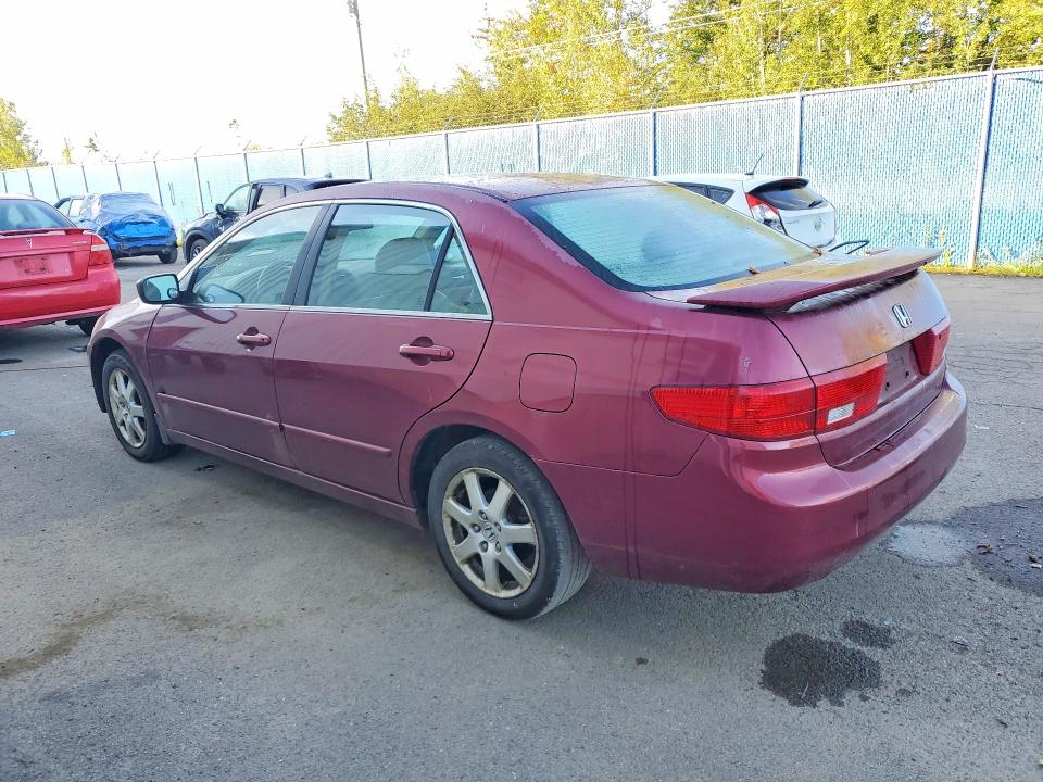 Продажа на аукционе авто 2005 Honda Accord, vin: 1HGCM66535A802441, номер лота: 70510466