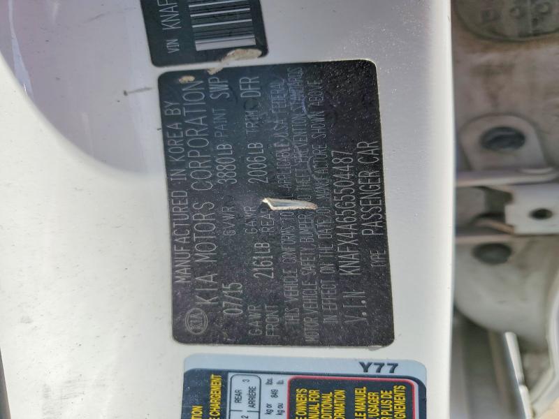 66395246 :رقم المزاد ، KNAFX4A65G5504487 vin ، 2016 Kia Forte مزاد بيع