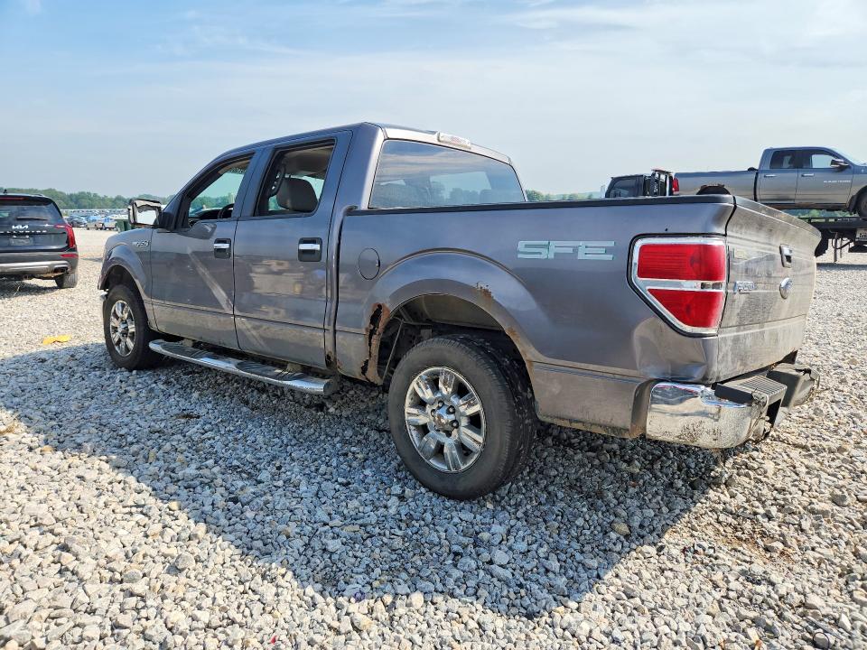 2009 Ford F150 მანქანა იყიდება აუქციონზე, vin: 1FTRW12819FB10533, აუქციონის ნომერი: 67389286