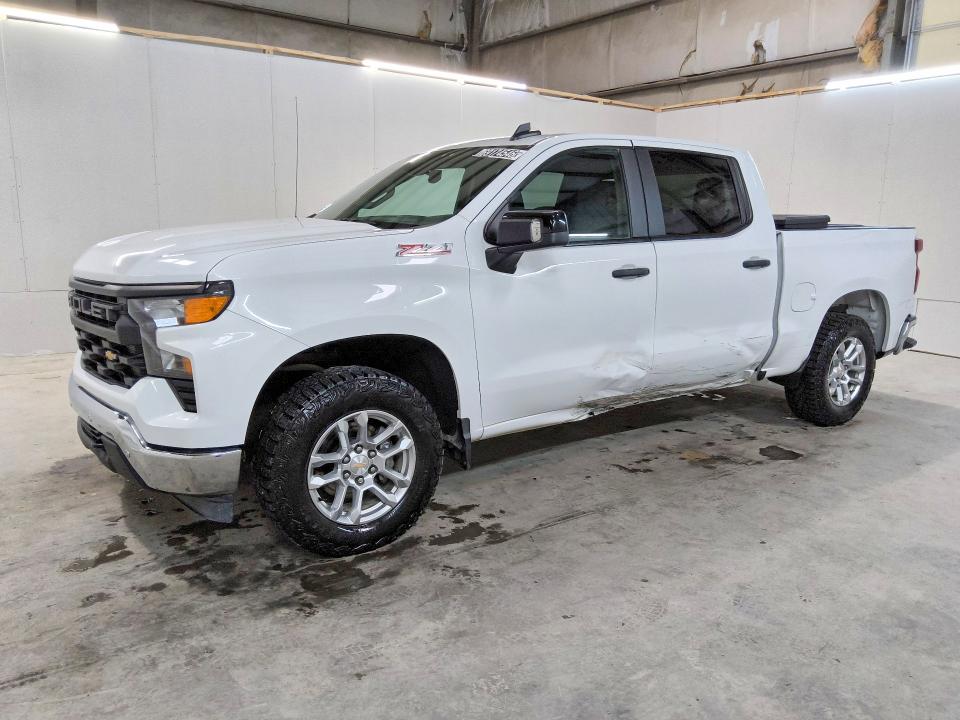 Auction sale of the 2025 Chevrolet Silverado, vin: 1GCUKAED7SZ201194, lot number: 69174546
