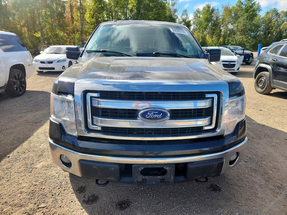 Aukcja sprzedaży 2014 Ford F150, vin: 1FTFW1EF4EFC98133, numer aukcji: 69595746