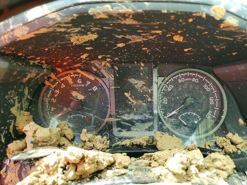 2023 Toyota Tacoma მანქანა იყიდება აუქციონზე, vin: 3TMCZ5AN1PM614086, აუქციონის ნომერი: 67494956