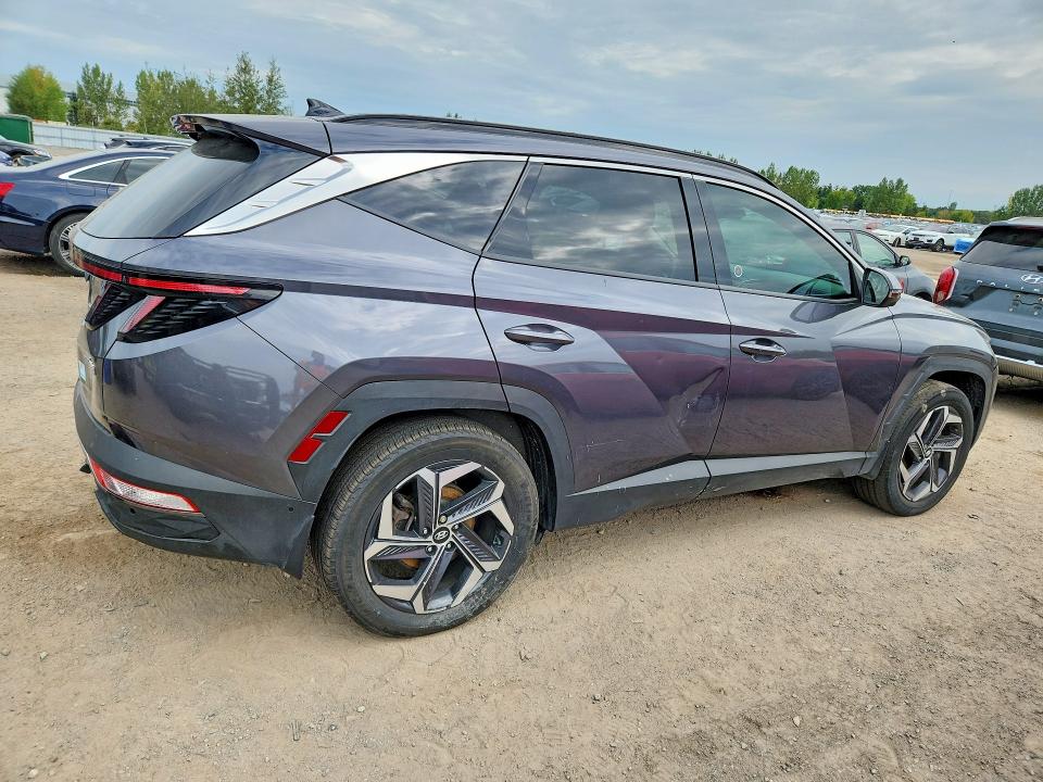 2024 Hyundai Tucson მანქანა იყიდება აუქციონზე, vin: KM8JCCD1XRU137013, აუქციონის ნომერი: 66560596