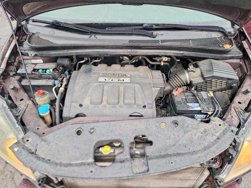 Продаж на аукціоні авто 2008 Honda Odyssey, vin: 5FNRL38798B084401, номер лоту: 66819686