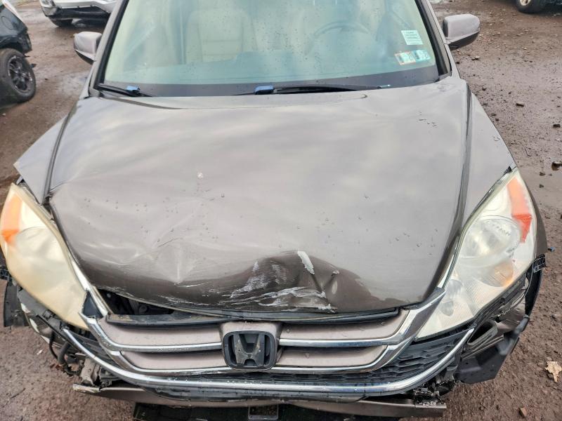 Продаж на аукціоні авто 2010 Honda Cr-v, vin: 5J6RE4H76AL071568, номер лоту: 68374846