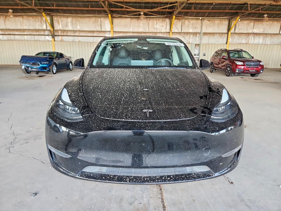 2023 Tesla Model Y მანქანა იყიდება აუქციონზე, vin: 7SAYGAEE3PF669421, აუქციონის ნომერი: 69165456