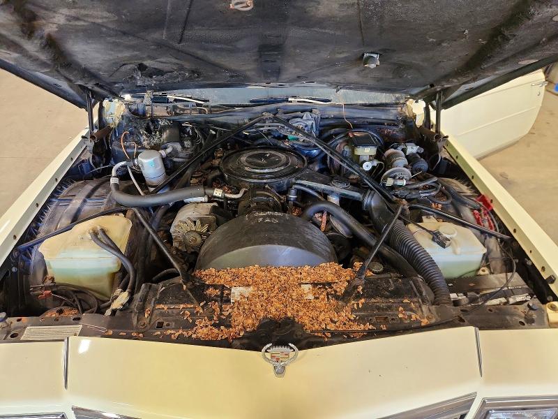 Продаж на аукціоні авто 1984 Cadillac Fleetwood, vin: 1G6AW4788E9092664, номер лоту: 67126846