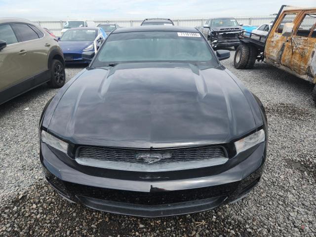 2010 Ford Mustang მანქანა იყიდება აუქციონზე, vin: 1ZVBP8AN3A5120180, აუქციონის ნომერი: 71101996