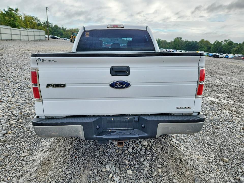 Продаж на аукціоні авто 2014 Ford F150, vin: 1FTEW1CM0EKF18968, номер лоту: 69246036