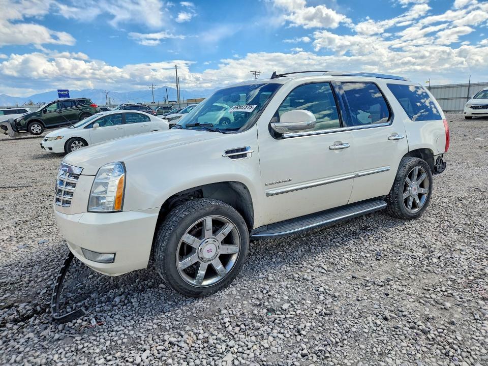 Продаж на аукціоні авто 2011 Cadillac Escalade, vin: 1GYS4BEF0BR347648, номер лоту: 69562816