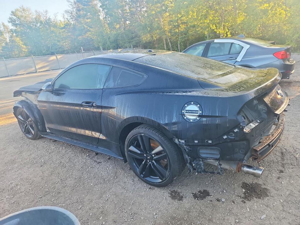 2016 Ford Mustang მანქანა იყიდება აუქციონზე, vin: 1FA6P8TH5G5319807, აუქციონის ნომერი: 65640536