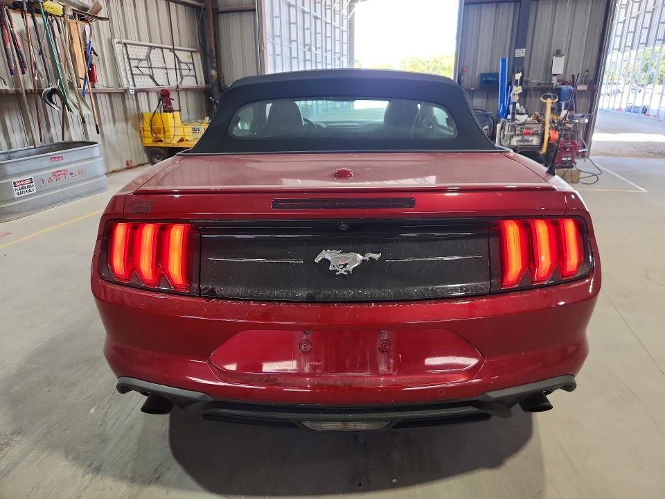 Продаж на аукціоні авто 2021 Ford Mustang, vin: 1FATP8UH9M5135774, номер лоту: 67351266