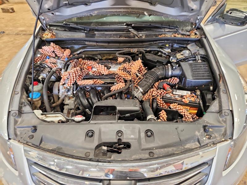 68677896 :رقم المزاد ، 1HGCP2F72CA067918 vin ، 2012 Honda Accord مزاد بيع