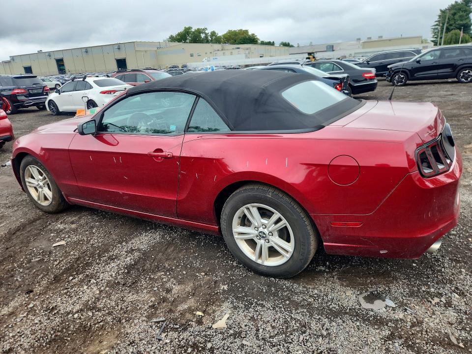 Продажа на аукционе авто 2014 Ford Mustang, vin: 1ZVBP8EM8E5295693, номер лота: 65987076