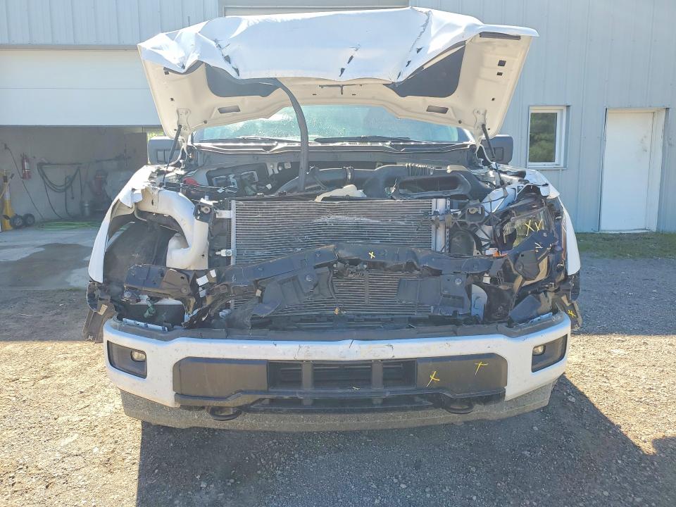 2024 Ford F150 მანქანა იყიდება აუქციონზე, vin: 1FTEW3LP0RKE78287, აუქციონის ნომერი: 68397886