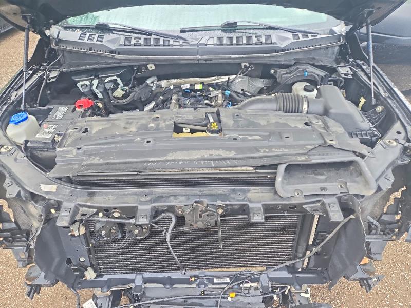 Продаж на аукціоні авто 2019 Ford F150, vin: 1FTEW1EP8KKC25564, номер лоту: 66456656