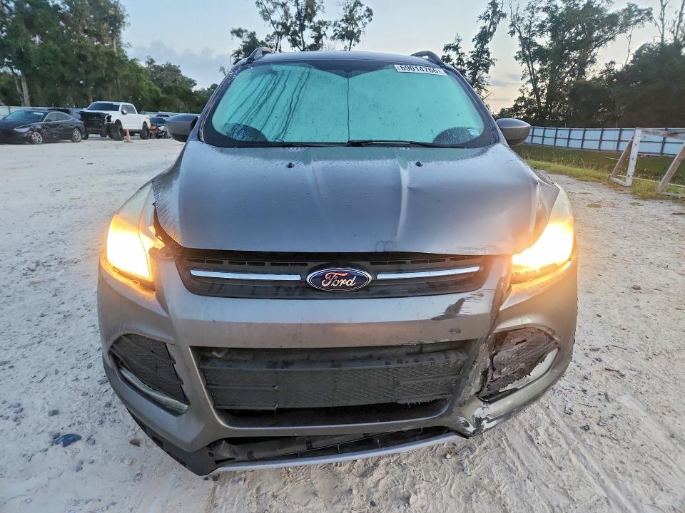 Продаж на аукціоні авто 2014 Ford Escape, vin: 1FMCU0G91EUD14211, номер лоту: 69014766