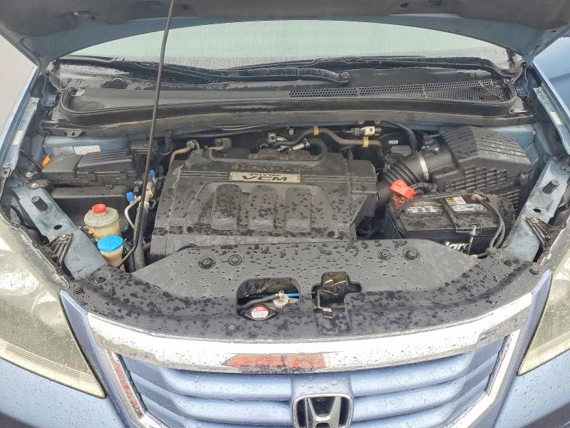 2009 Honda Odyssey მანქანა იყიდება აუქციონზე, vin: 5FNRL38629B034125, აუქციონის ნომერი: 70219186