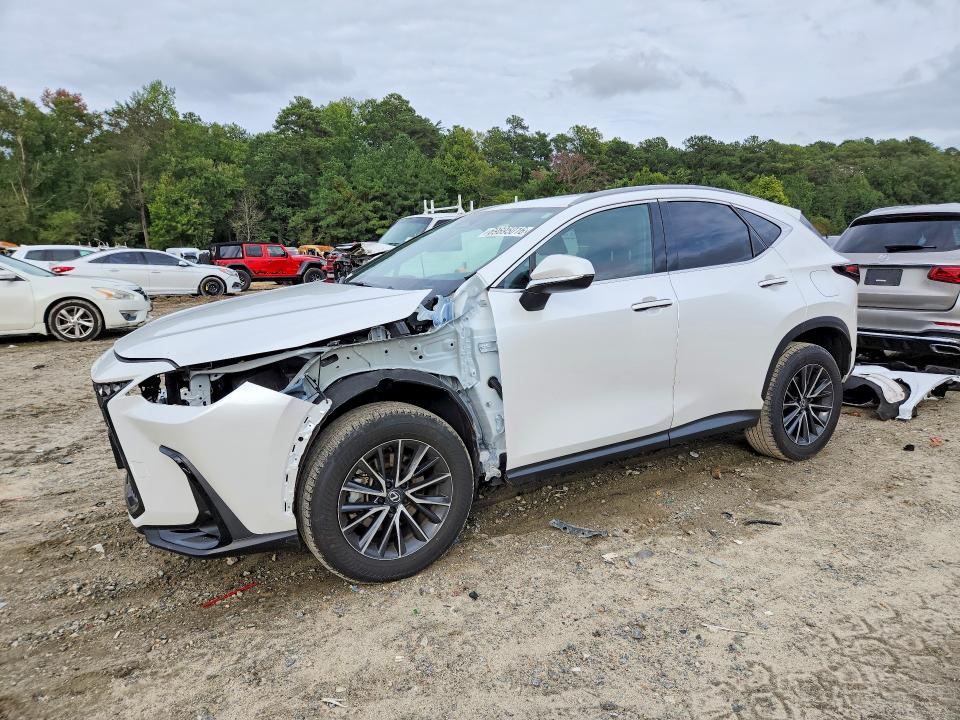 69695016 :رقم المزاد ، 2T2AKCEZ1RC017038 vin ، 2024 Lexus Nx 350h مزاد بيع