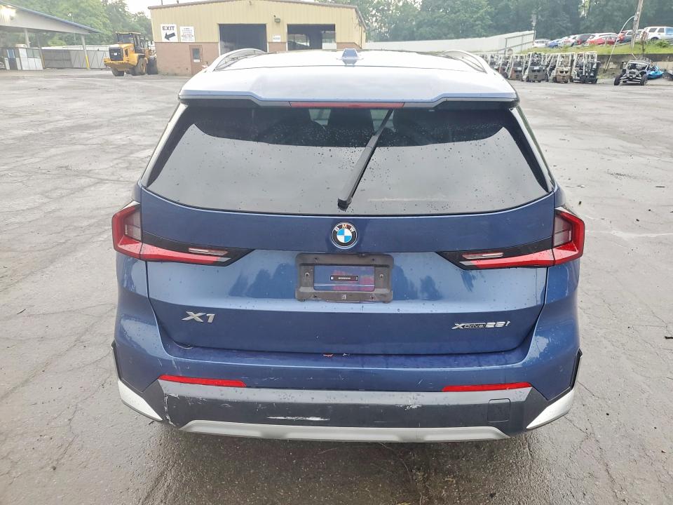 Aukcja sprzedaży 2023 Bmw X1, vin: WBX73EF06P5X97929, numer aukcji: 67064476