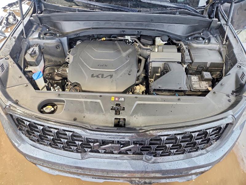 Продаж на аукціоні авто 2023 Kia Telluride, vin: 5XYP5DGC6PG388850, номер лоту: 69355526