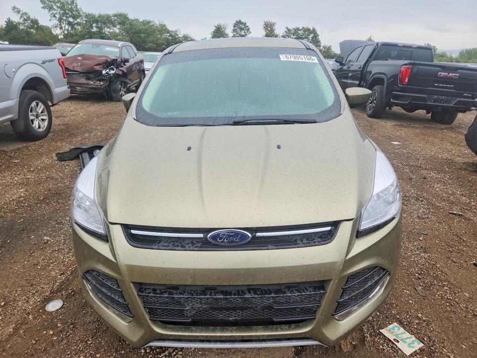 67905106 :رقم المزاد ، 1FMCU0GXXEUB24342 vin ، 2014 Ford Escape مزاد بيع