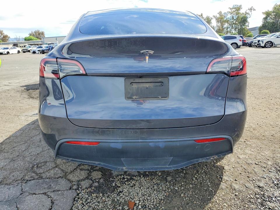Продаж на аукціоні авто 2023 Tesla Model Y, vin: 7SAYGDED6PF960505, номер лоту: 67900536
