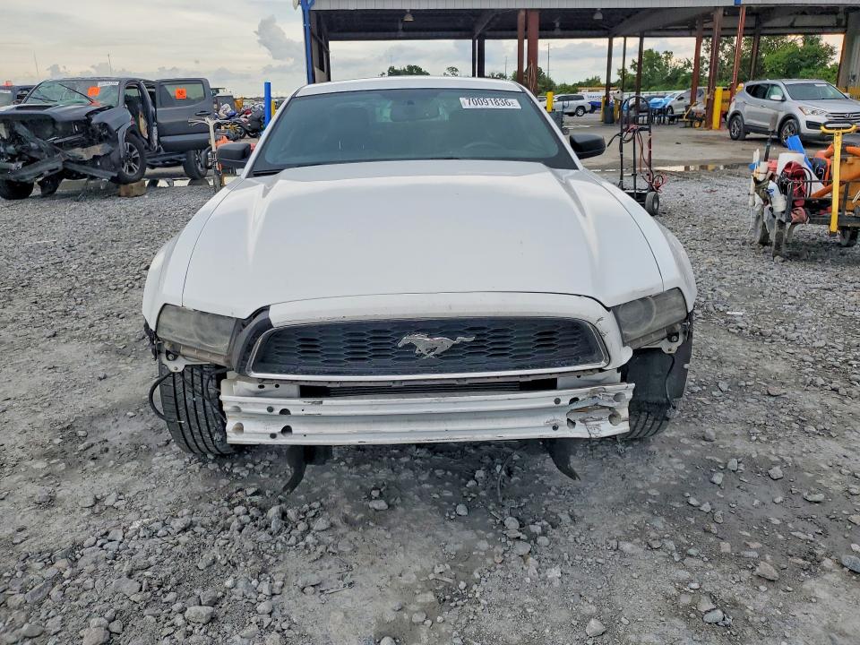 Продаж на аукціоні авто 2014 Ford Mustang, vin: 1ZVBP8AM9E5283140, номер лоту: 70091836