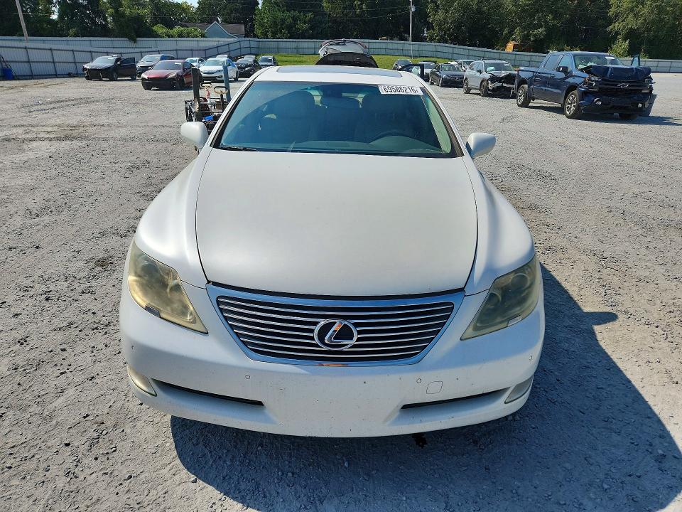 69586216 :رقم المزاد ، JTHBL46F795087963 vin ، 2009 Lexus Ls مزاد بيع