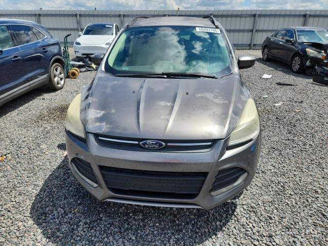 Продаж на аукціоні авто 2014 Ford Escape, vin: 1FMCU0G92EUC04753, номер лоту: 68497796