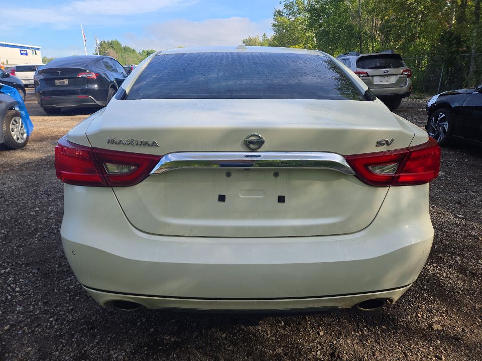 66658796 :رقم المزاد ، 1N4AA6AP6GC905924 vin ، 2016 Nissan Maxima مزاد بيع