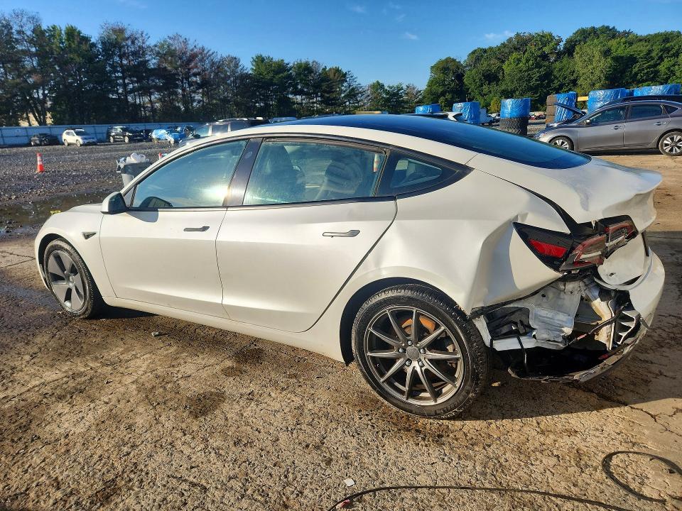 67806156 :رقم المزاد ، 5YJ3E1EA2PF691100 vin ، 2023 Tesla Model 3 مزاد بيع