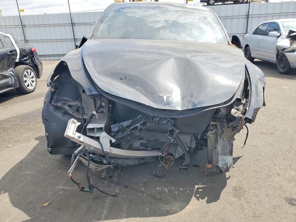 Продаж на аукціоні авто 2025 Tesla Model Y, vin: 7SAYGDED7SF219854, номер лоту: 69943096
