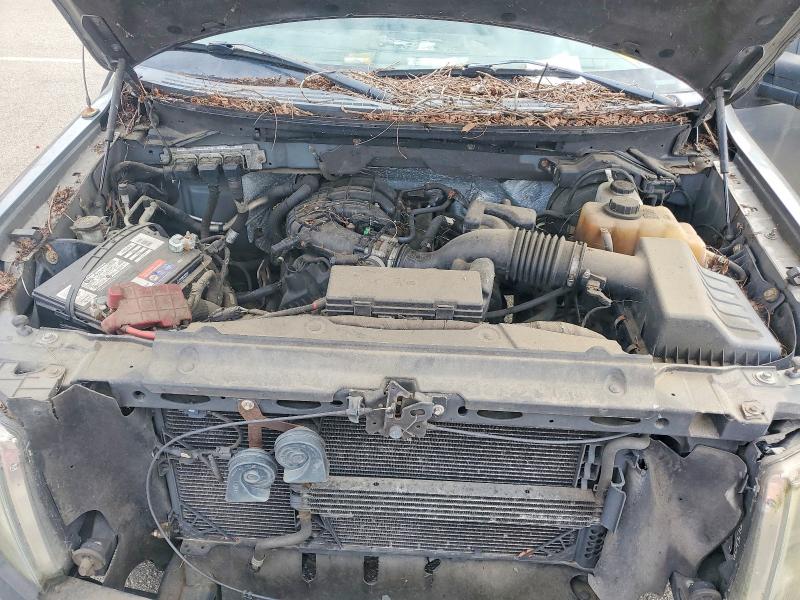 2011 Ford F150 მანქანა იყიდება აუქციონზე, vin: 1FTEX1EM9BFA76173, აუქციონის ნომერი: 67706346