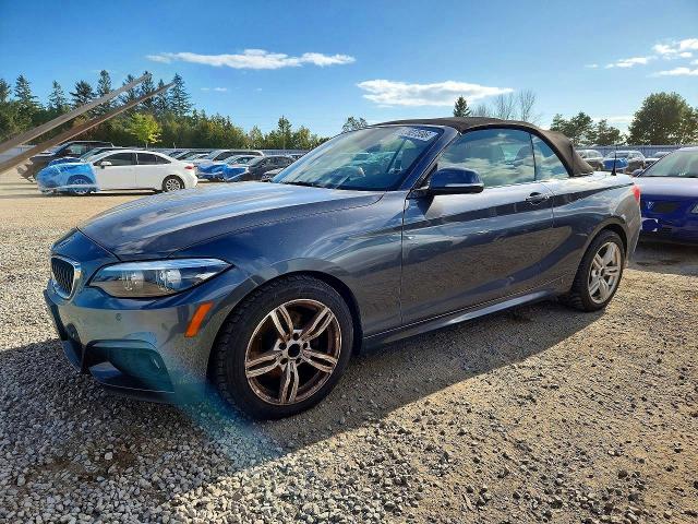 68827596 :رقم المزاد ، WBA2K1C53JVB64590 vin ، 2018 Bmw 230xi مزاد بيع