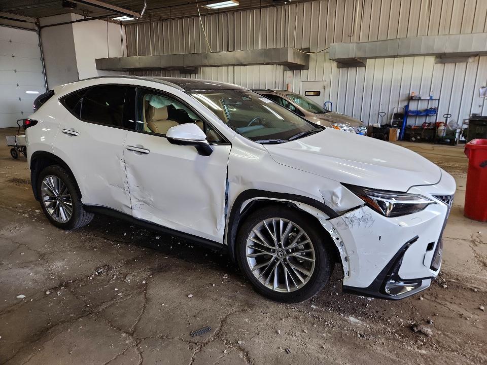 2025 Lexus Nx მანქანა იყიდება აუქციონზე, vin: 2T2HGCEZ9SC087666, აუქციონის ნომერი: 68584236