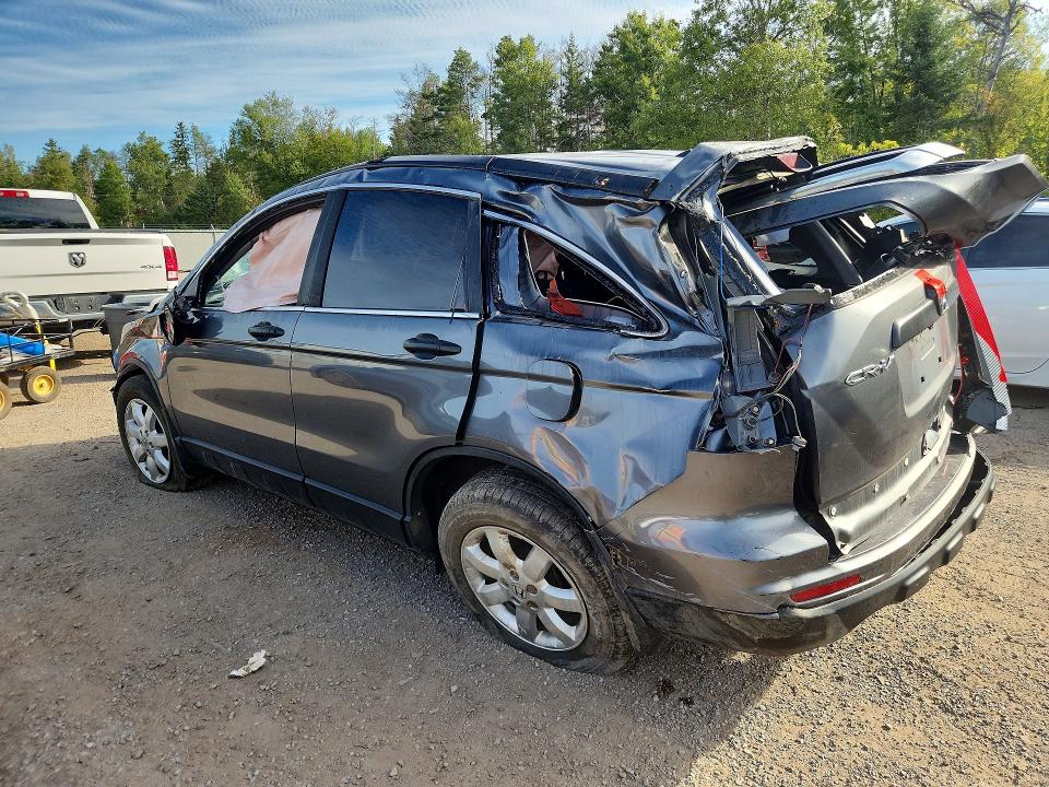 Aukcja sprzedaży 2010 Honda Cr-v, vin: 5J6RE4H39AL814107, numer aukcji: 67992306